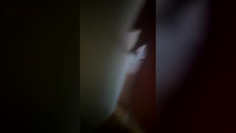 Snapshot of flirtygirlyy chatting on 12, 2, 2026 Ive Retired From Camming online show from 12, 2, 2026