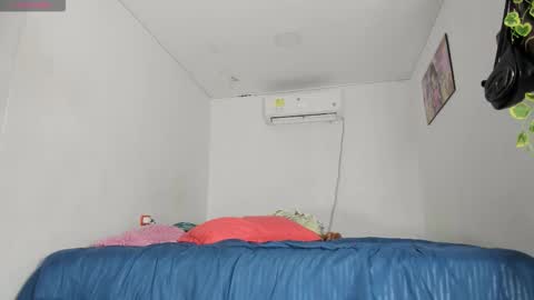    online show from 11, 11, 2025