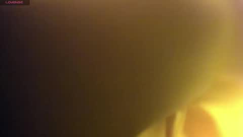    online show from 2, 12, 2025