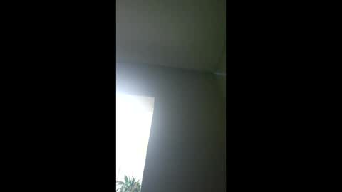 foxtropia online show from 10, 2, 2026