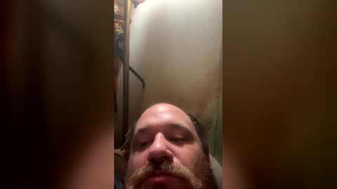 franklinharris_2010 online show from 17, 5, 2026