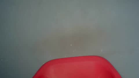 freaky slut5 online show from 26, 2, 2026