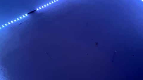 Snapshot of freakymaa chatting on 11, 6, 2026 Freakymaa online show from 11, 6, 2026