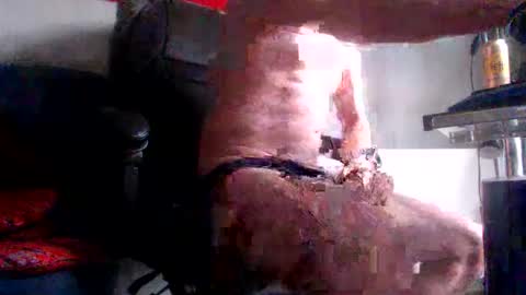 yo online show from 28, 2, 2026