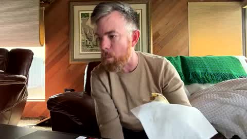 Freddy online show from 31, 3, 2026