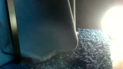 Snapshot of fredthetom12 chatting on 6, 2, 2025 Greedy Fred online show from 6, 2, 2025