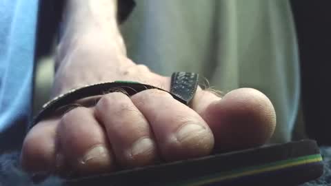 Greedy Fred online show from 8, 2, 2026