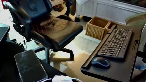 Snapshot of freespirt2 chatting on 1, 11, 2025 freespirt2 online show from 1, 11, 2025