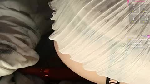 Meadow online show from 22, 2, 2025