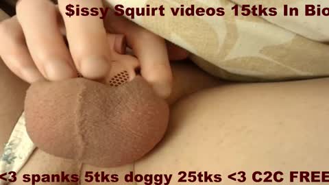 Meadow online show from 13, 12, 2025