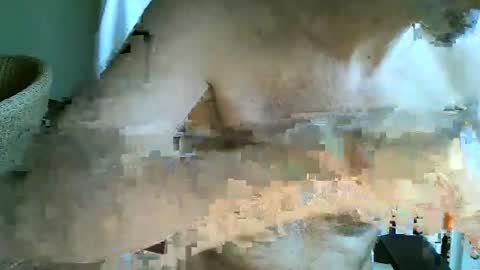 frisco69 online show from 12, 4, 2026