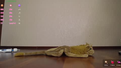 fuckingalice online show from 12, 11, 2025