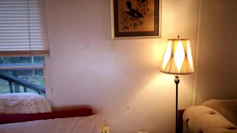fuckmypussyplz1 online show from 20, 10, 2025