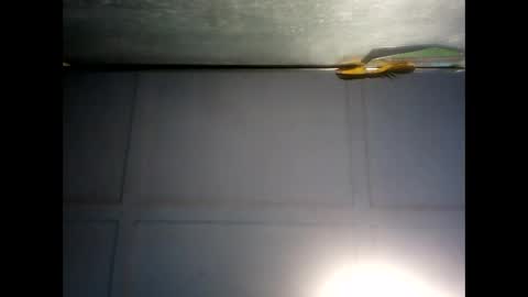 Snapshot of fucmebudoo chatting on 3, 12, 2024 Warwick online show from 3, 12, 2024