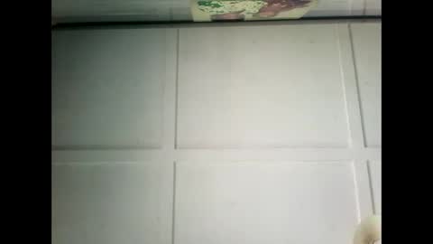 Snapshot of fucmebudoo chatting on 17, 12, 2024 Warwick online show from 17, 12, 2024