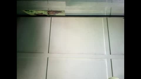 Snapshot of fucmebudoo chatting on 23, 12, 2024 Warwick online show from 23, 12, 2024