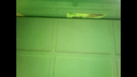 Snapshot of fucmebudoo chatting on 27, 12, 2024 Warwick online show from 27, 12, 2024