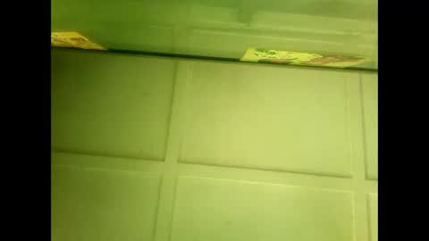 Snapshot of fucmebudoo chatting on 7, 1, 2025 Warwick online show from 7, 1, 2025