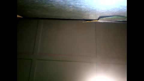 Snapshot of fucmebudoo chatting on 11, 1, 2025 Warwick online show from 11, 1, 2025