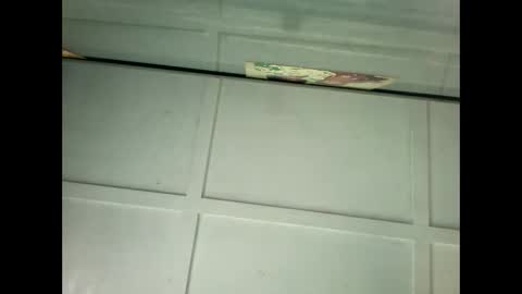 Snapshot of fucmebudoo chatting on 18, 1, 2025 Warwick online show from 18, 1, 2025