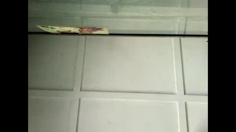 Snapshot of fucmebudoo chatting on 29, 1, 2025 Warwick online show from 29, 1, 2025