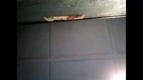 Snapshot of fucmebudoo chatting on 22, 2, 2025 Warwick online show from 22, 2, 2025