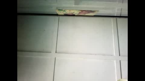 Snapshot of fucmebudoo chatting on 24, 2, 2025 Warwick online show from 24, 2, 2025