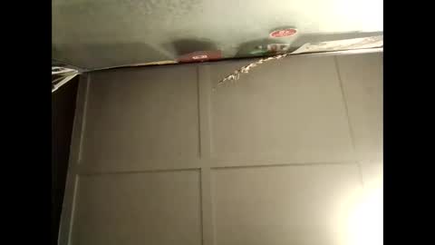 Snapshot of fucmebudoo chatting on 10, 10, 2025 Warwick online show from 10, 10, 2025