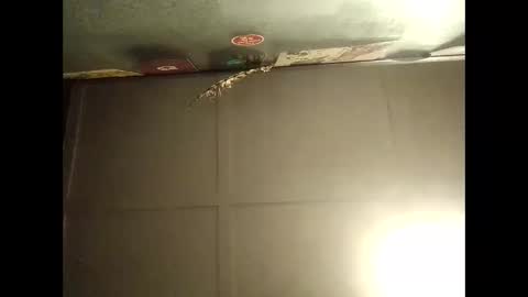 Snapshot of fucmebudoo chatting on 11, 10, 2025 Warwick online show from 11, 10, 2025