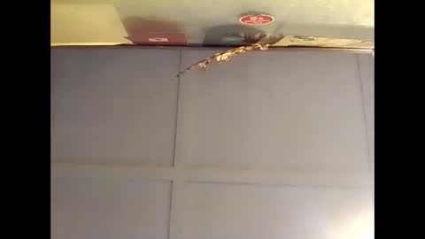 Snapshot of fucmebudoo chatting on 16, 10, 2025 Warwick online show from 16, 10, 2025