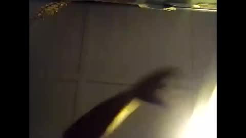 Snapshot of fucmebudoo chatting on 28, 10, 2025 Warwick online show from 28, 10, 2025