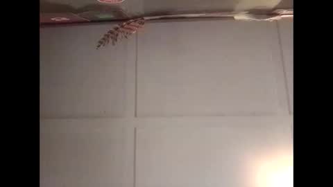 Snapshot of fucmebudoo chatting on 30, 10, 2025 Warwick online show from 30, 10, 2025