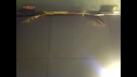 Snapshot of fucmebudoo chatting on 2, 11, 2025 Warwick online show from 2, 11, 2025