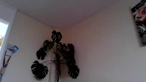 funn333222 online show from 15, 6, 2026