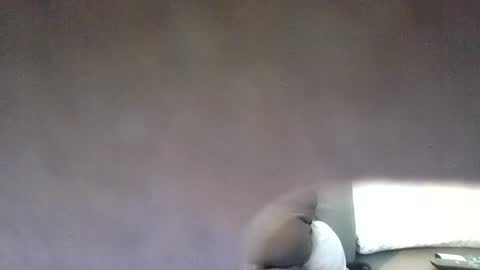funsunny online show from 7, 7, 2026