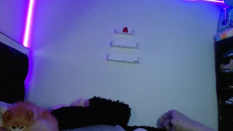 Snapshot of fysste_ chatting on 11, 3, 2025 Victoria online show from 11, 3, 2025