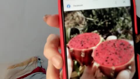 Gabi online show from 19, 1, 2025