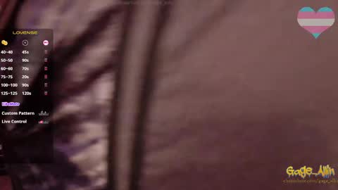 Gage Allin AKA Alpha Pussy online show from 9, 4, 2026