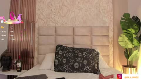 gaia_stonne online show from 1, 4, 2026