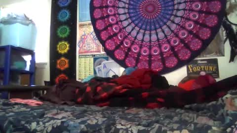 Gardenia online show from 22, 2, 2026