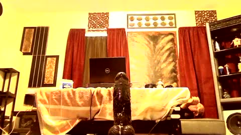 gatewaylaptop2019 online show from 9, 3, 2025