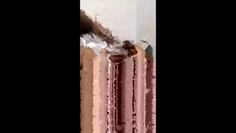 gemstar33184100 online show from 9, 4, 2026