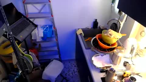 georgempt online show from 10, 1, 2025