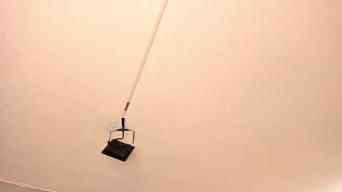 Georgina  online show from 15, 3, 2026