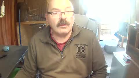 germany_50 online show from 17, 11, 2025