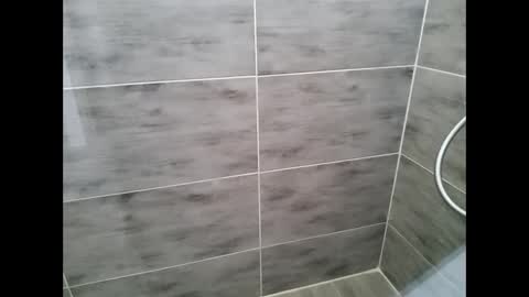 gescos online show from 26, 1, 2025