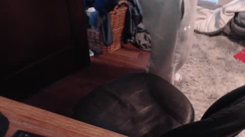 gethoggy online show from 25, 1, 2025