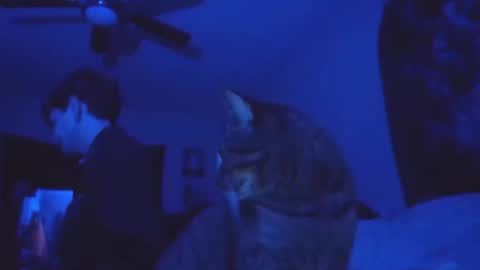 Snapshot of ghostcondor11 chatting on 13, 11, 2025 SrirachaSwitchblade online show from 13, 11, 2025