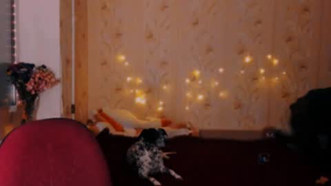 Emm online show from 20, 12, 2024