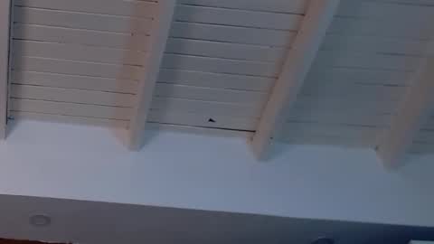 gigi wilden online show from 19, 2, 2025